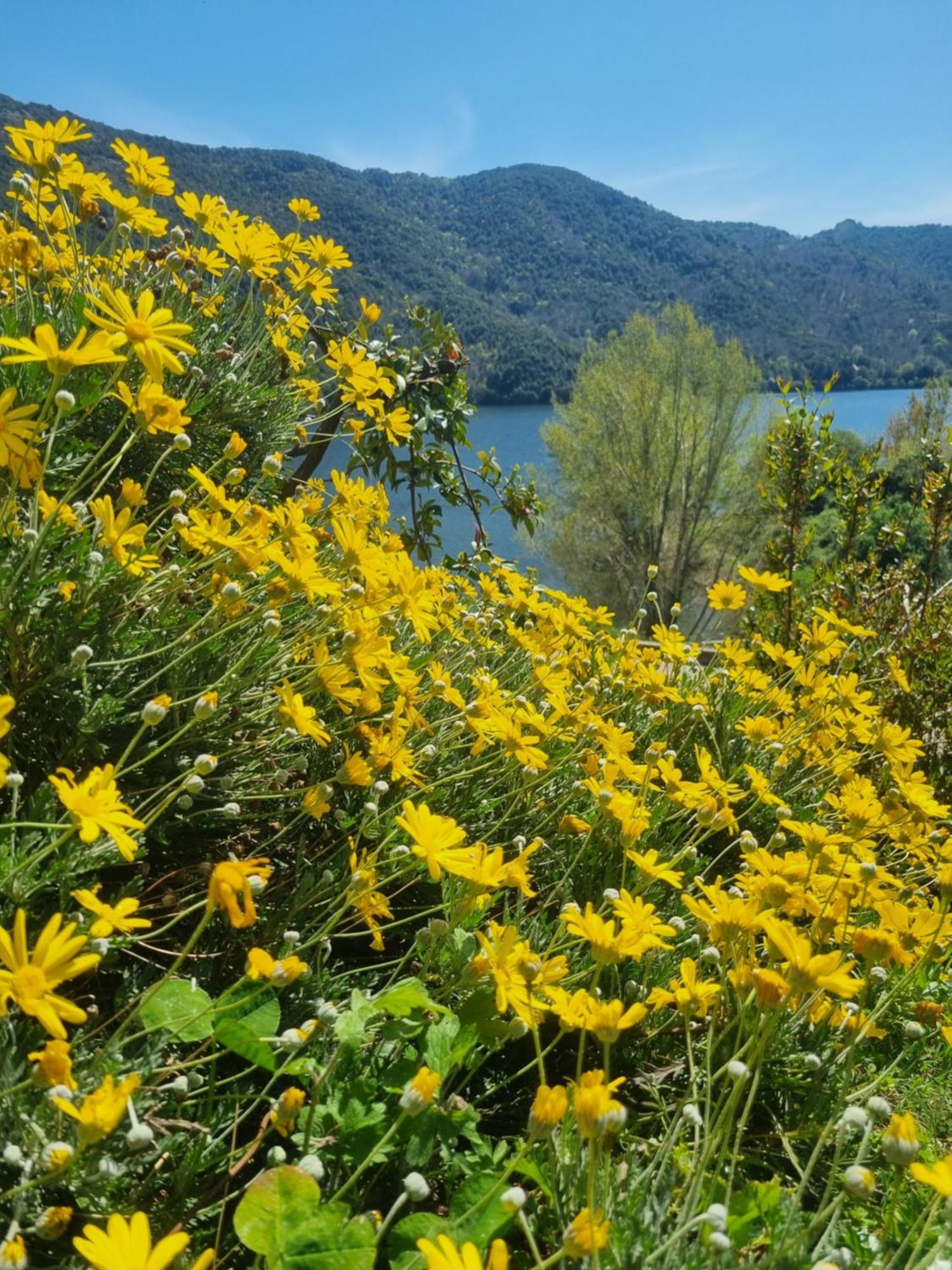 Cote Lac Tolla Екстер'єр фото